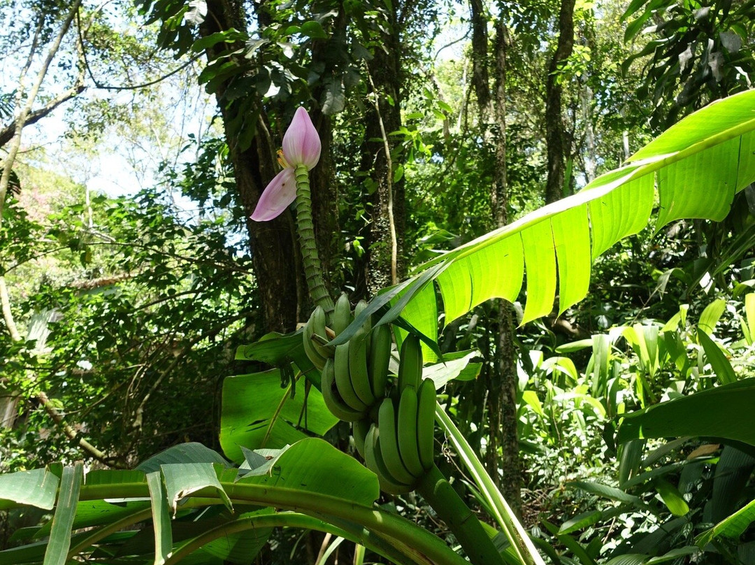Vida Carioca Tours-里约热内卢必去景点