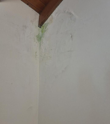 生态酒店特拉贝拉