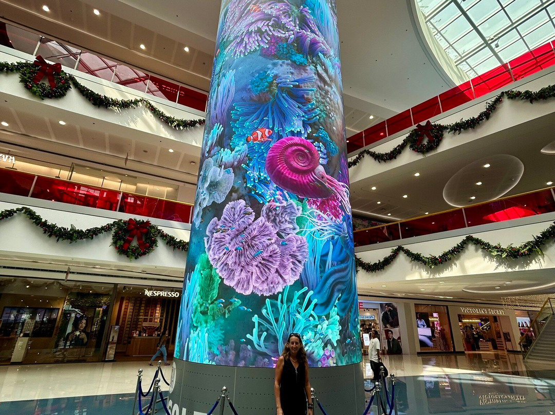 S Maison-帕塞必去景点