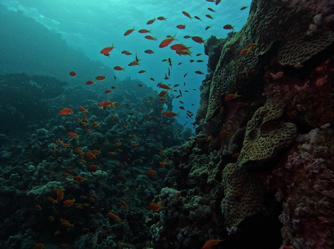 Aquarius Diving Club-马卡迪湾必去景点