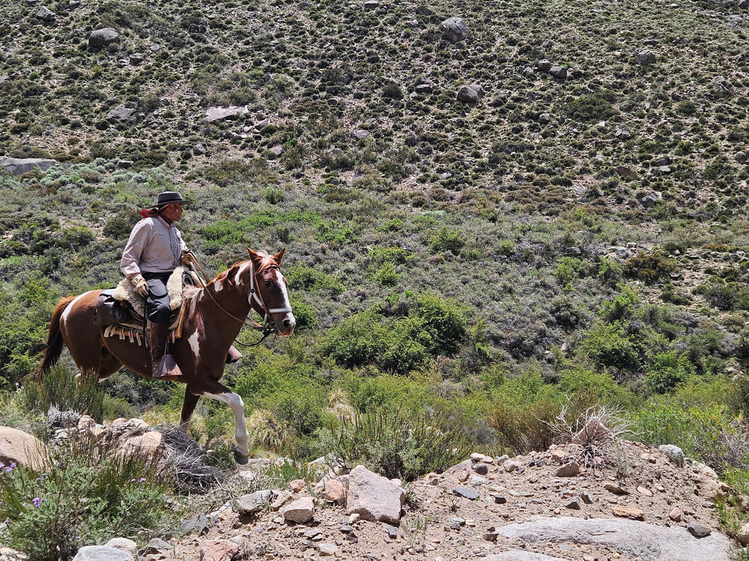 Trekking Travel Expediciones-门多萨必去景点