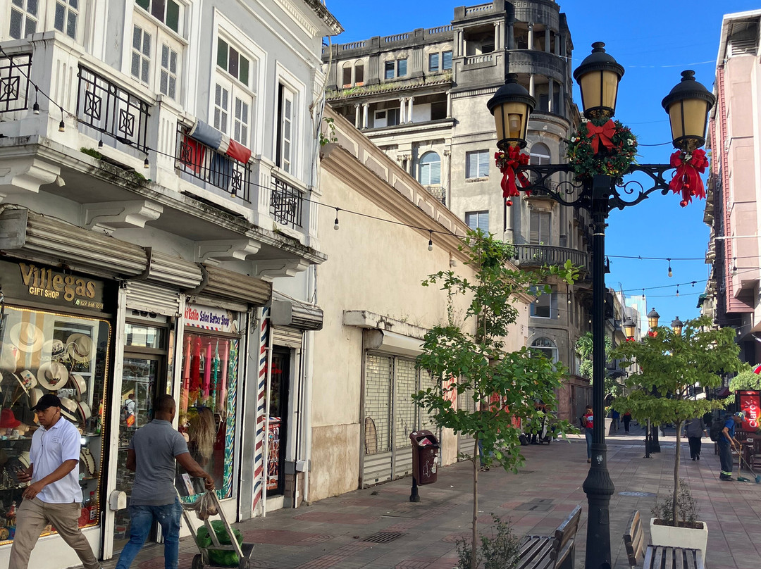 Palacio Consistorial-圣多明哥必去景点