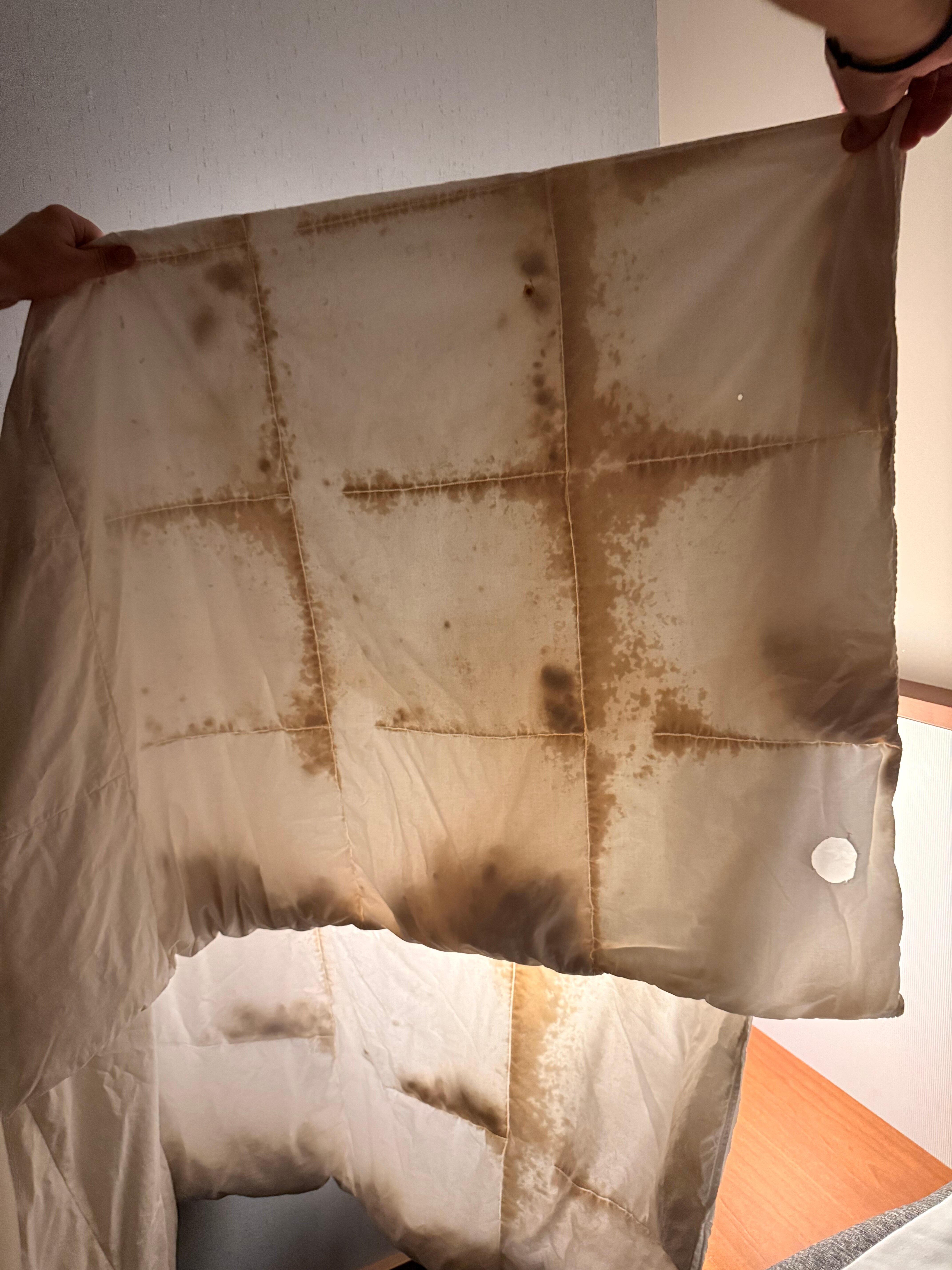 Mövenpick Zurich Airport-客卧