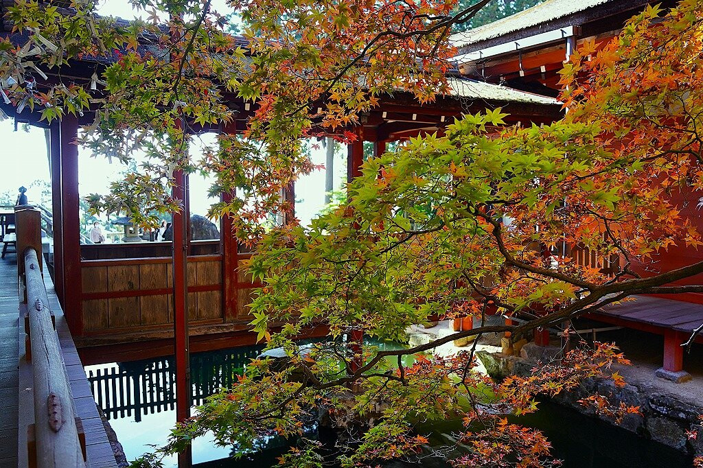 Chomeiji Temple-近江八幡市必去景点