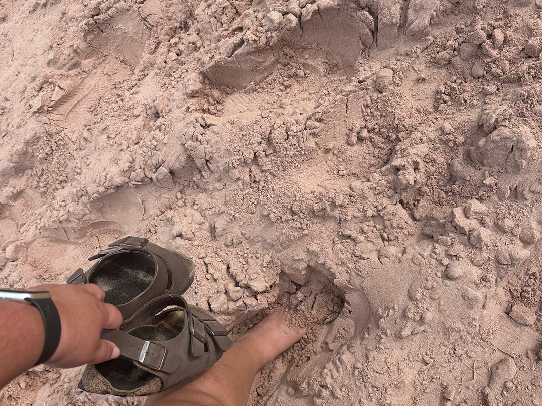Log Slide Overlook-Grand Marais必去景点