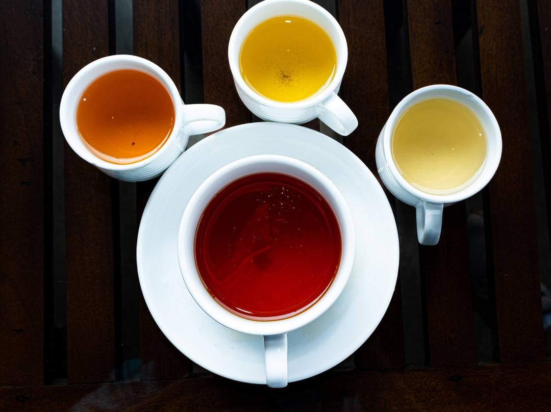 Harrysuni Tours-尼甘布必去景点