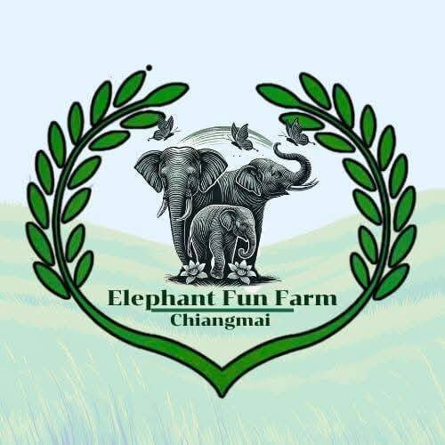Elephant Fun Farm Chiangmai Thailand-Nam Phrae必去景点