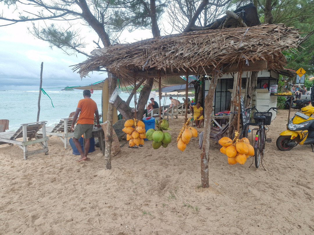 The Travel Lanka Leisure-科伦坡必去景点