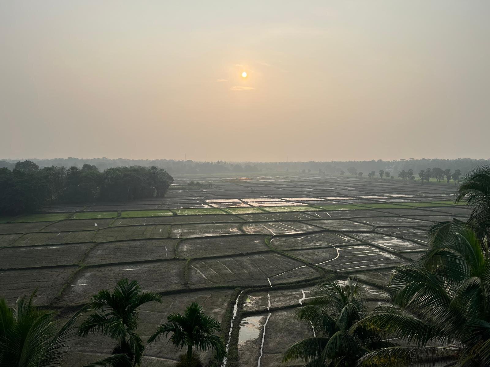 Heaven Upon Rice Fields-酒店景观
