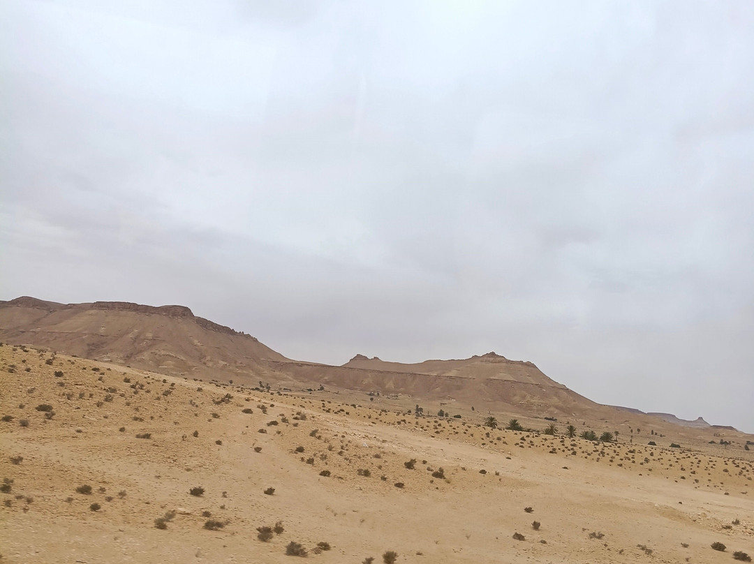 Agence de voyages Desert Rose-苏塞必去景点
