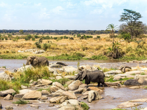 Mwanamshiki Tours and Safaris-阿鲁沙必去景点