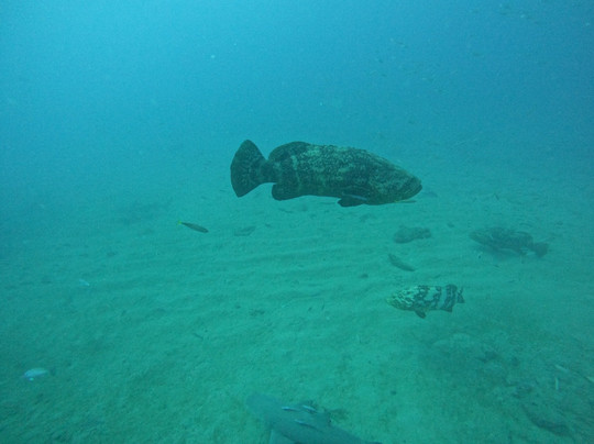 Emerald Charters-朱庇特必去景点