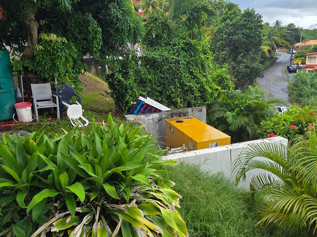 Hotel Le Manguier主图