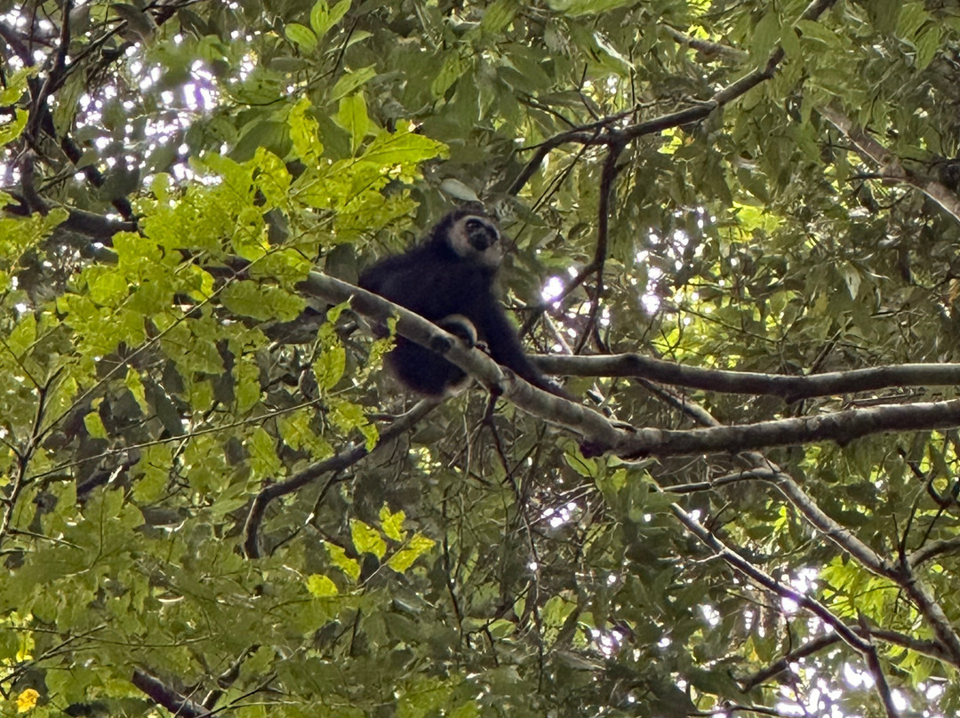 Khoa Yai and Beyond-考艾国家公园必去景点