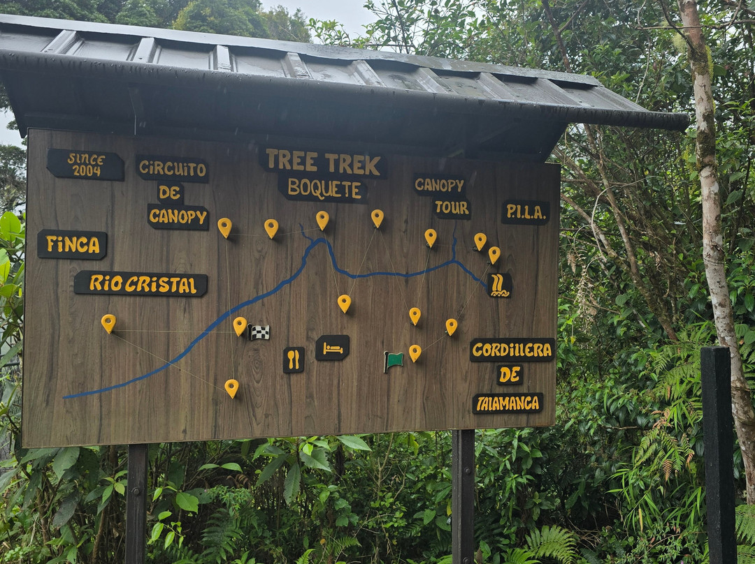 Tree Trek Boquete-波魁特必去景点