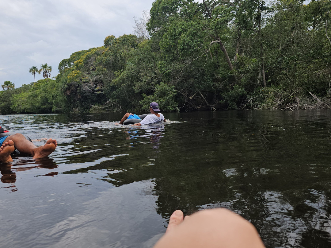 Boia Cross No Rio Do Sono