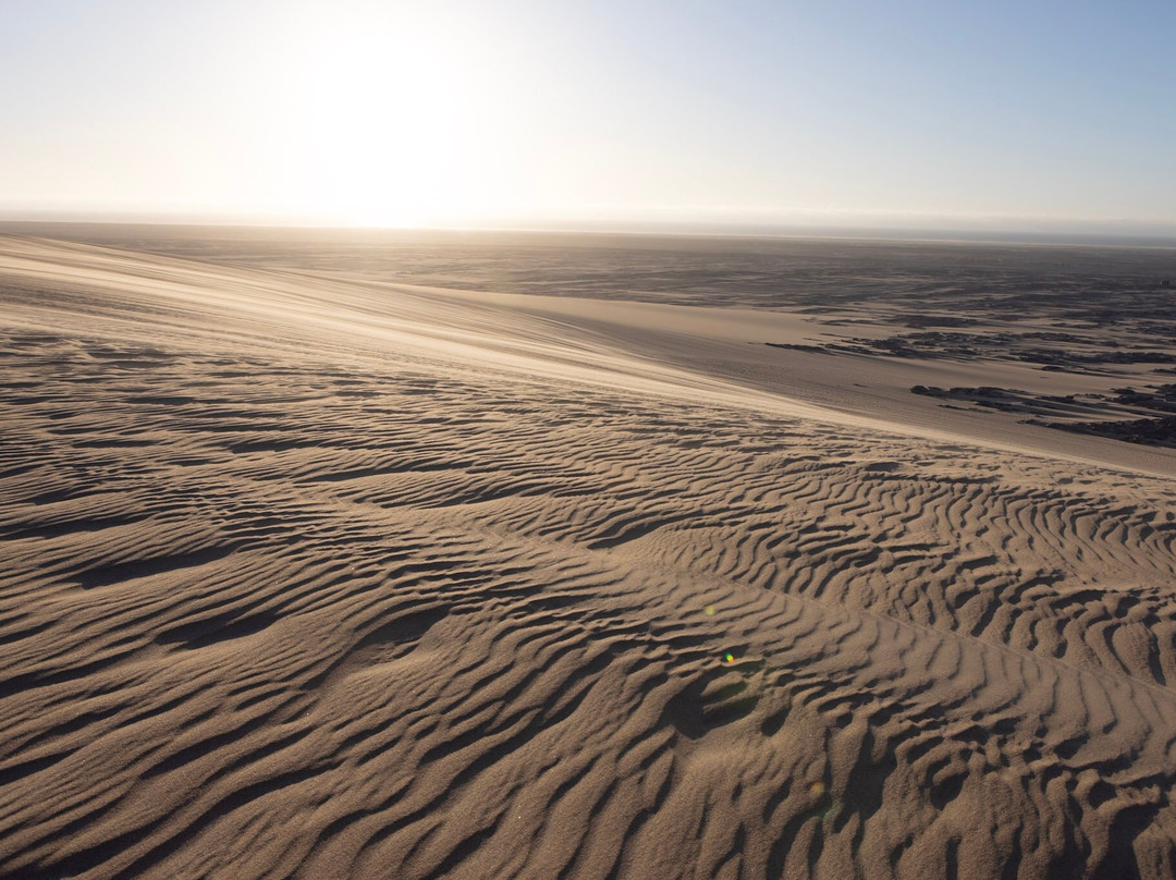 Karibu Safari-温德和克必去景点