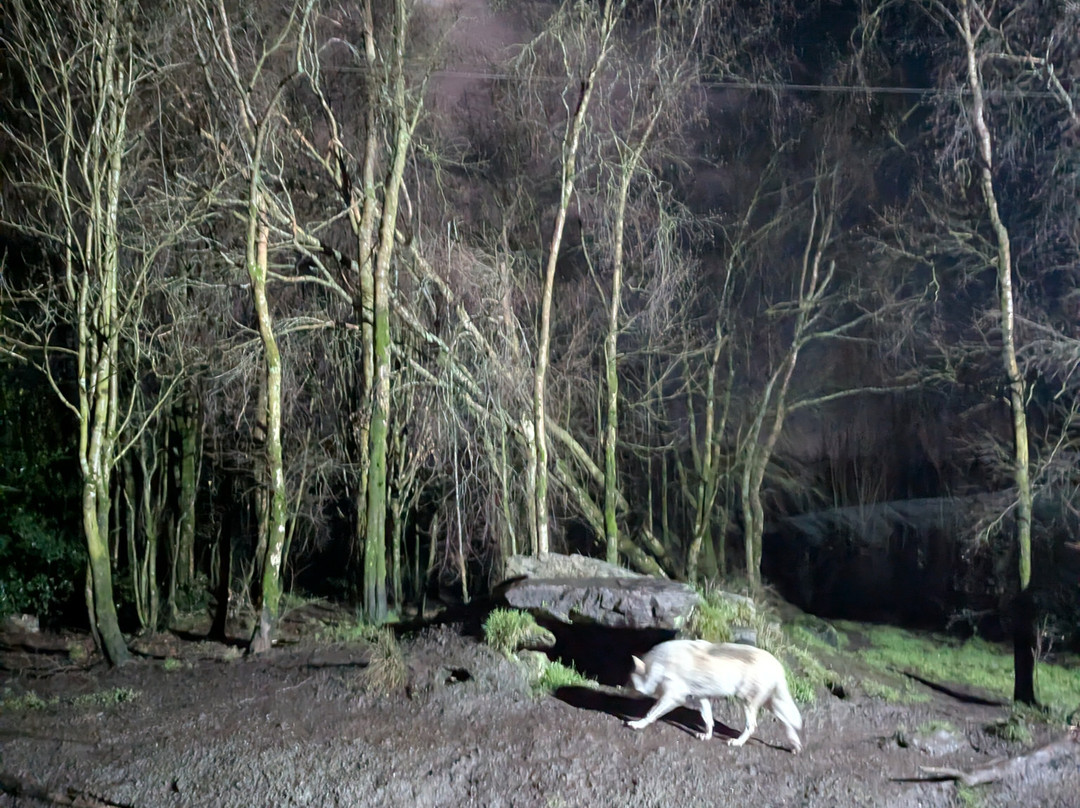 Wild Ireland-Burnfoot必去景点