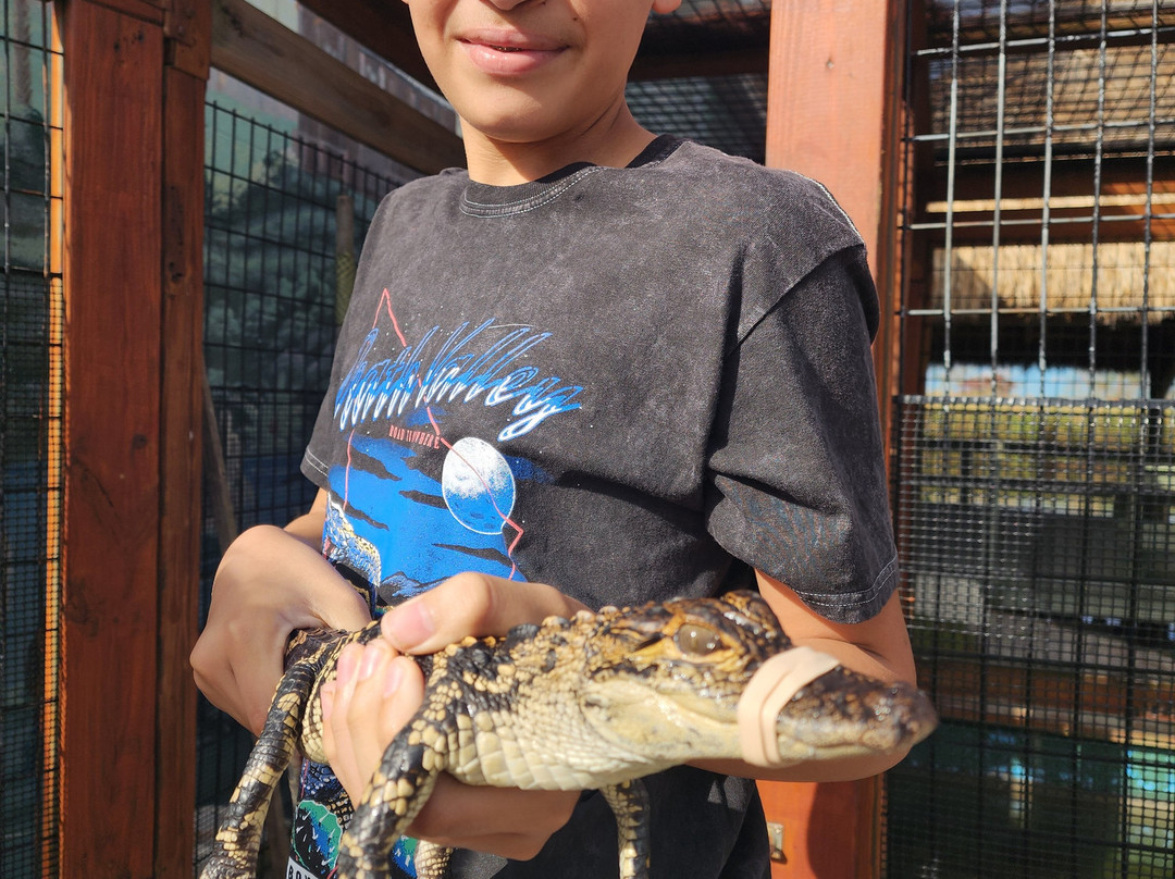 Midway Airboat Rides-Midway必去景点