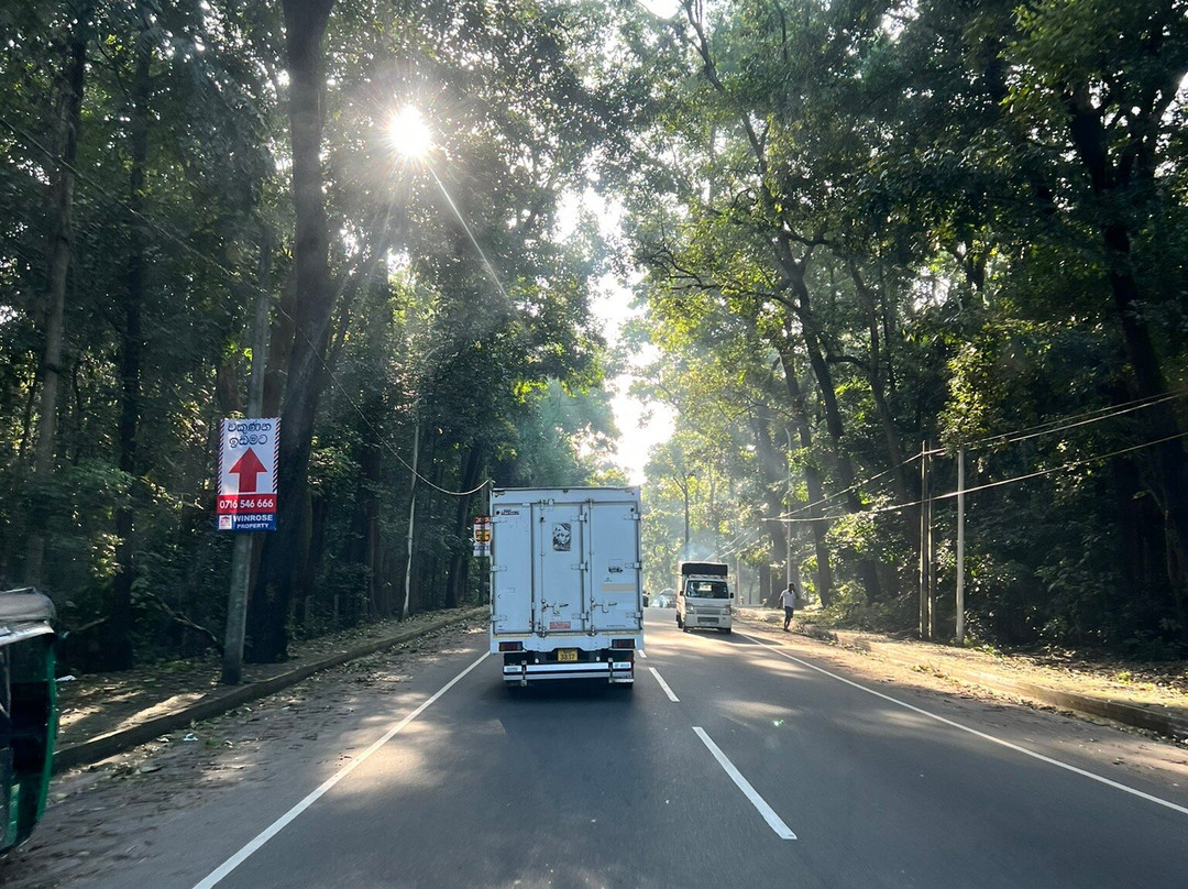 Olanka Travels-Dehiwala必去景点