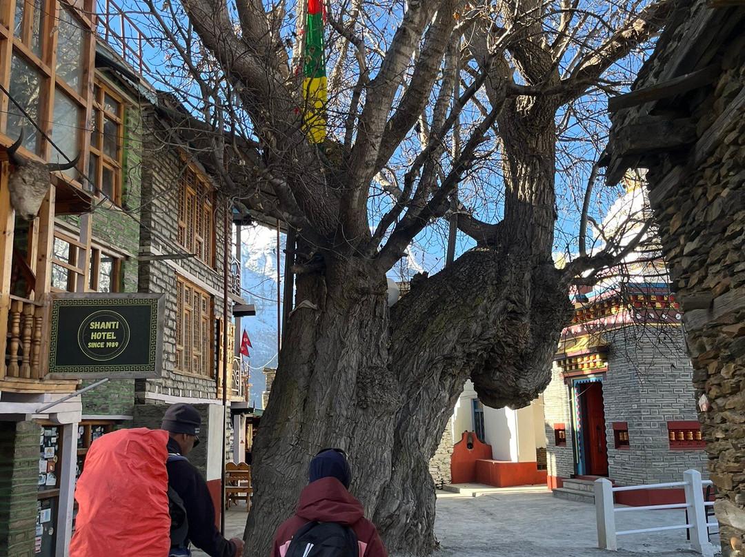 High Pass Adventure Pvt. Ltd.-加德满都必去景点