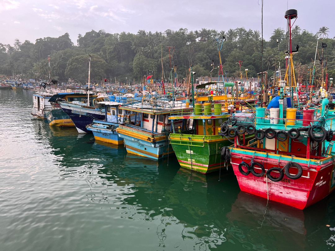 Sri Lanka Chauffeur-尼甘布必去景点