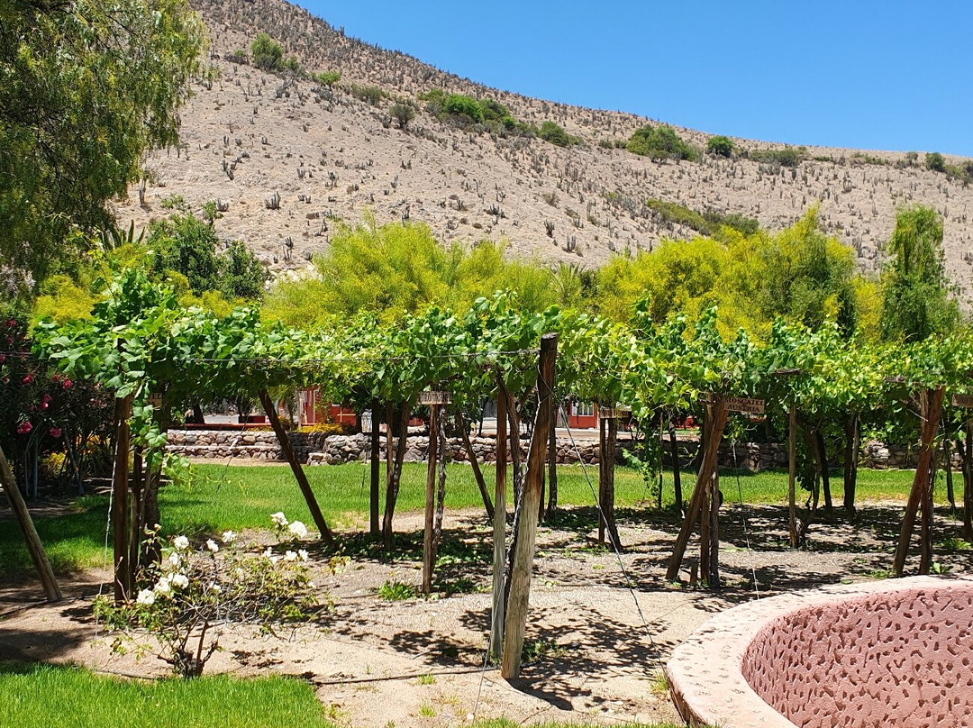 Centro Turistico Cooperativa Capel-Vicuna必去景点