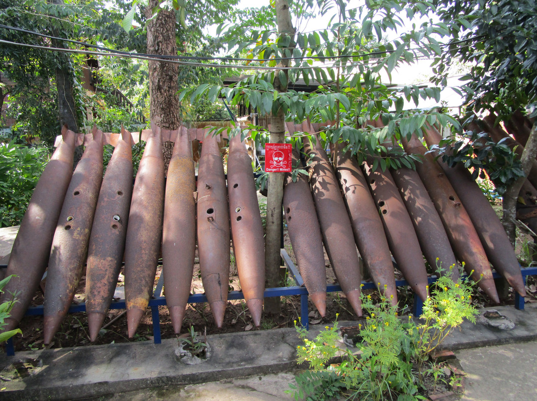 Ron Tuk Tuk Driver-暹粒必去景点