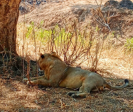 I Viaggi Di Dada Polly-基万嘎必去景点