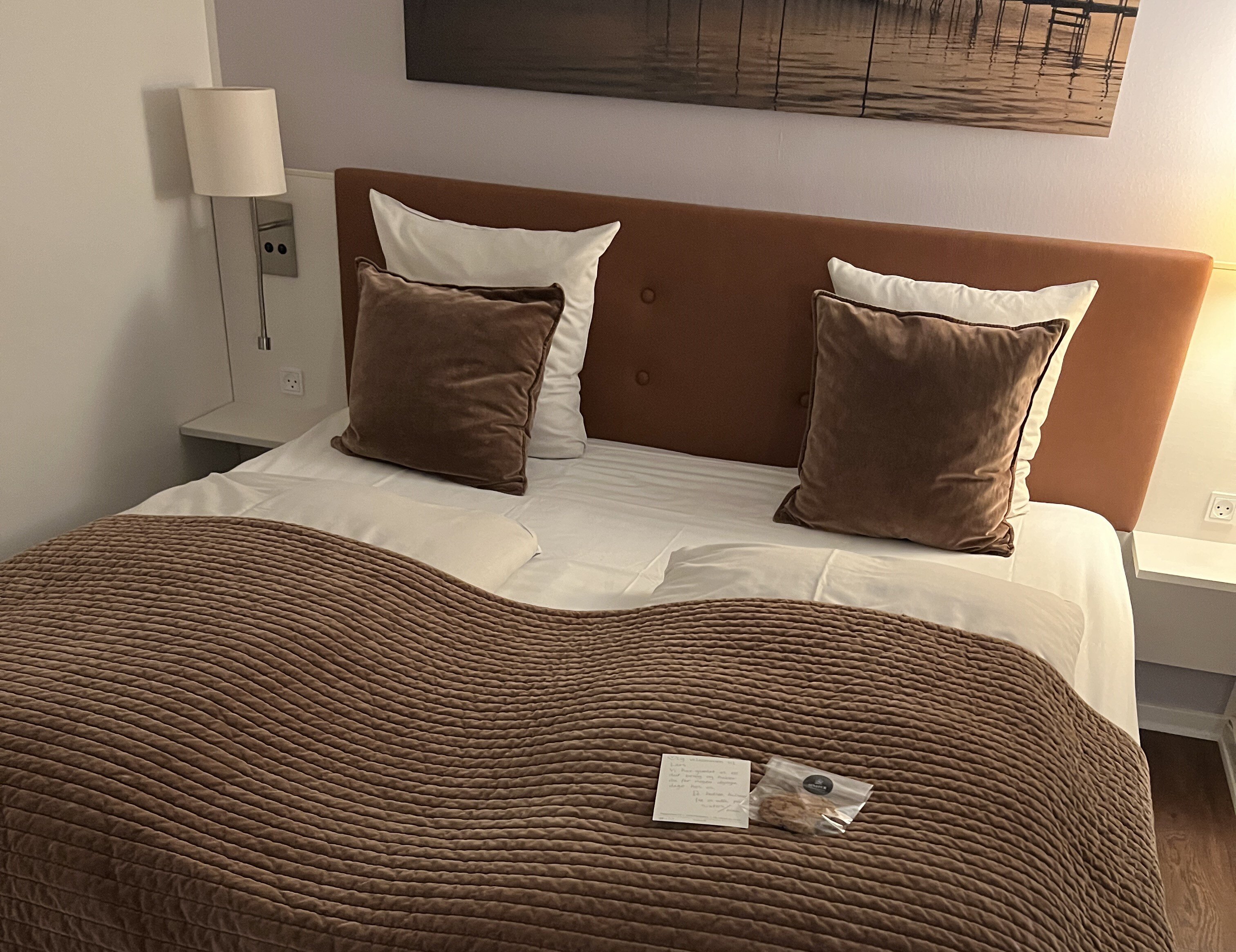 Sixtus Sinatur Hotel & Konference-客卧