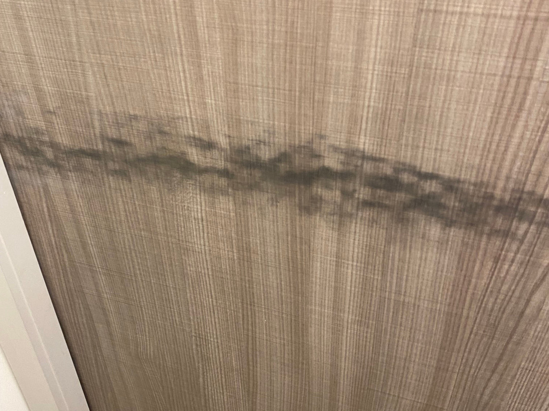 Home2 Suites by Hilton Joplin主图