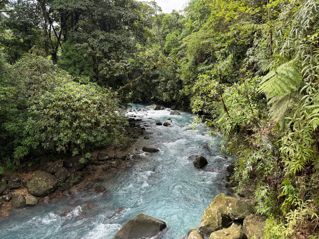NexusTours-圣何塞必去景点