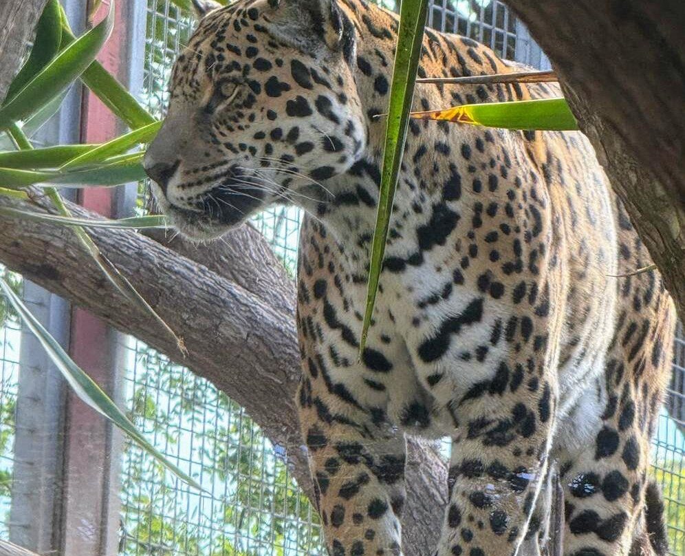 Terra Natura Benidorm-贝尼多姆必去景点