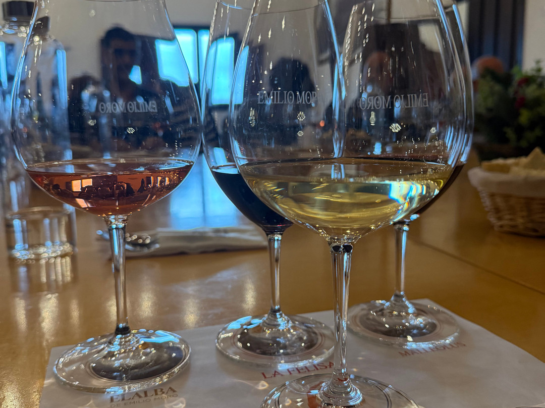 Bodegas Emilio Moro-Pesquera de Duero必去景点