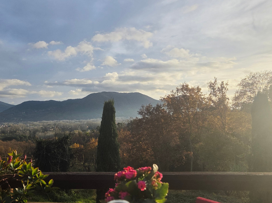 Fattoria Al Dotto-卢卡必去景点