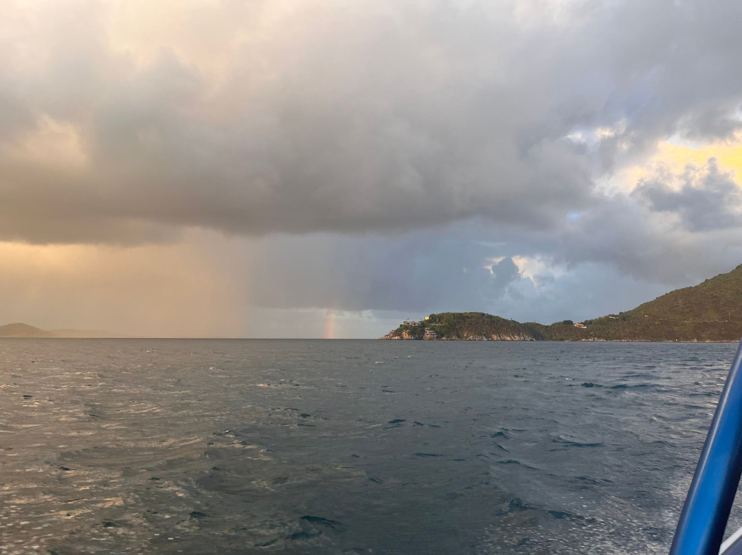 Dolphin Water Taxi-圣 托马斯必去景点