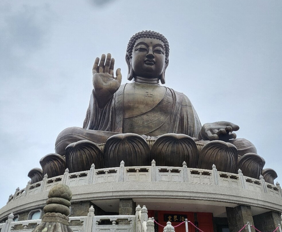 Memory Tours (Licensed Agent)-香港必去景点