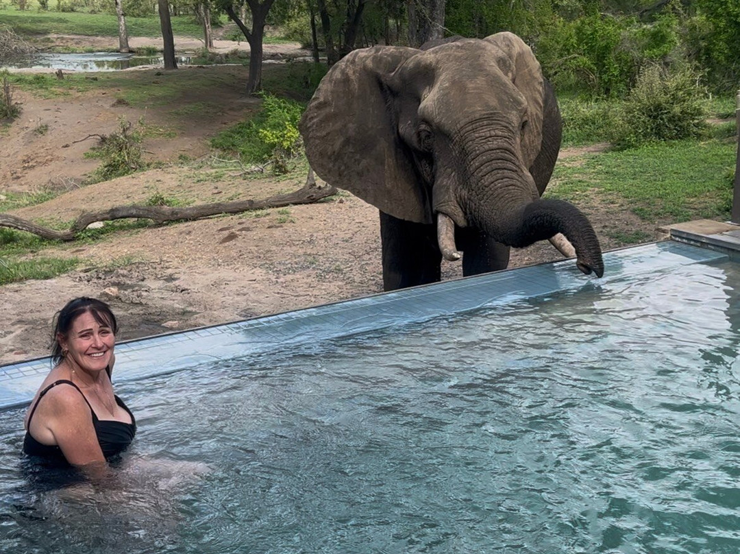 Honeyguide Tented Safari Camps - Mantobeni