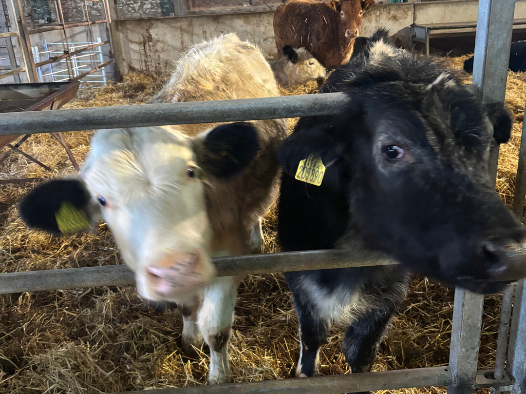 Newton Farm Holidays-Forfar必去景点