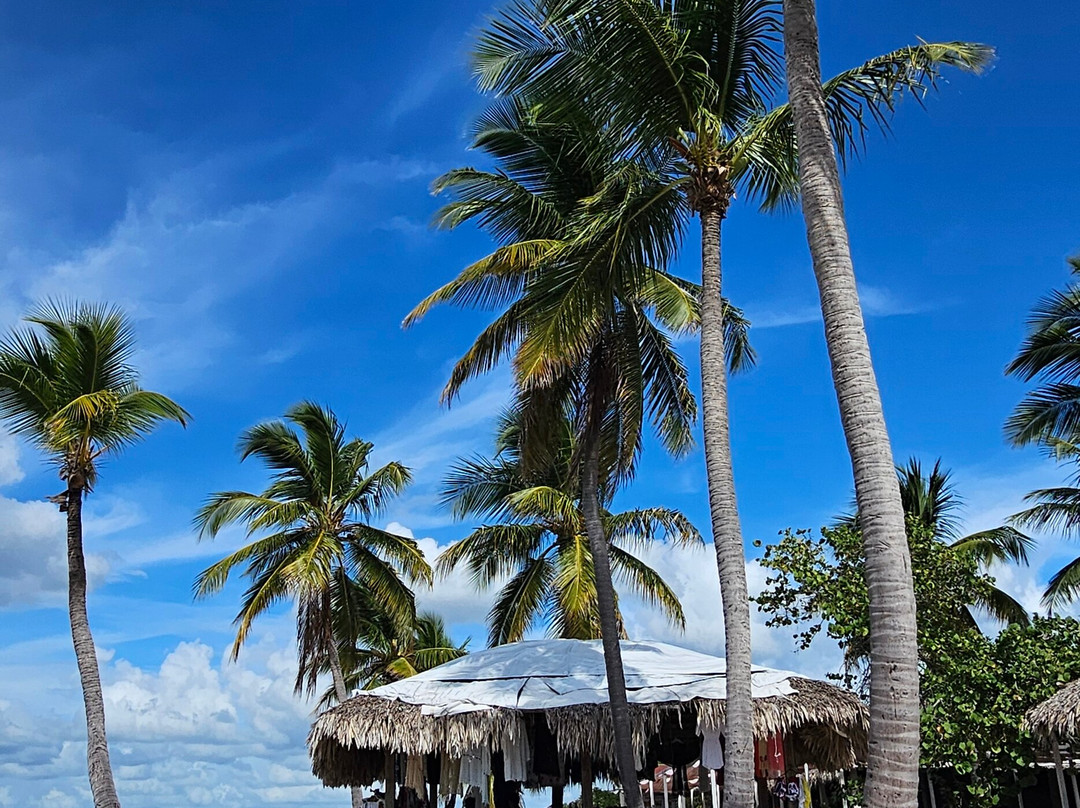 Franconero Escursioni-Bayahibe必去景点