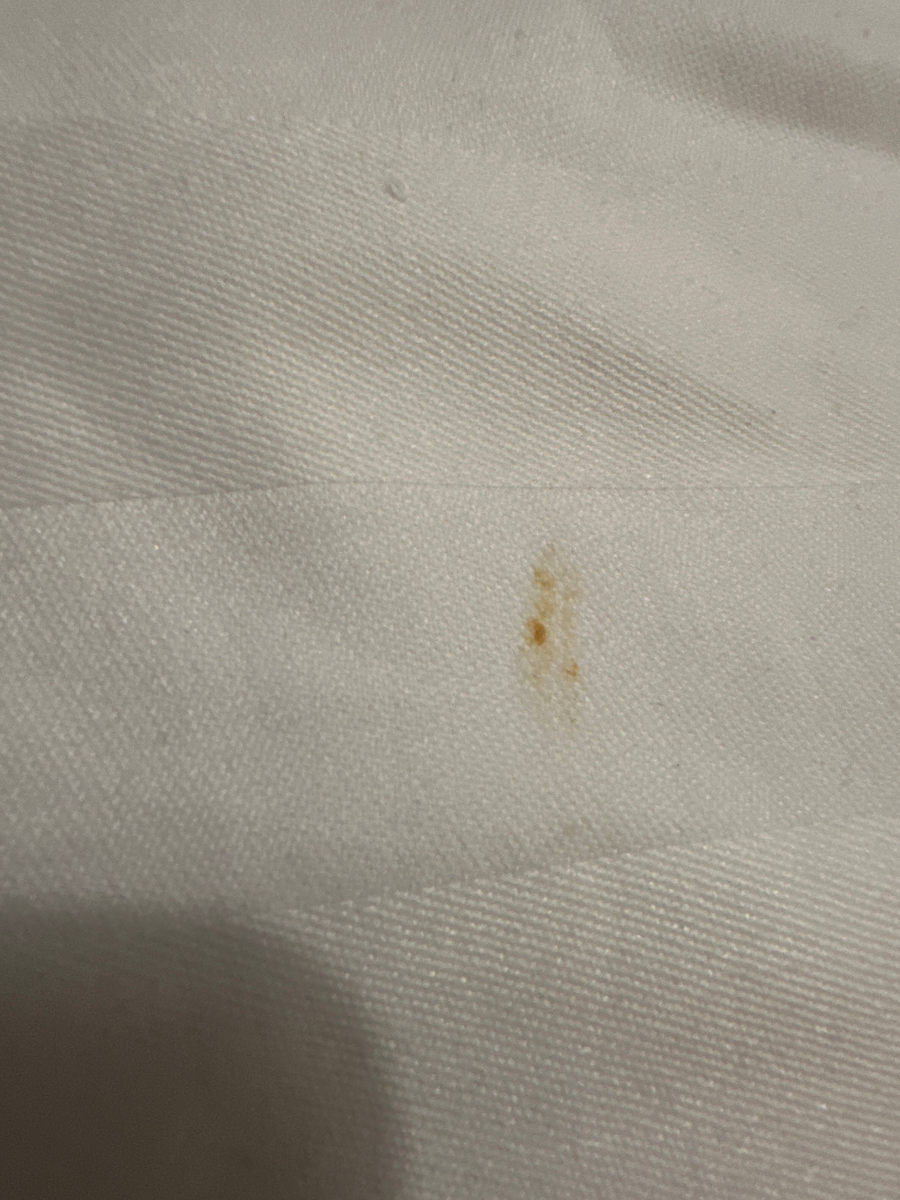 戴尔罗格酒店-官方