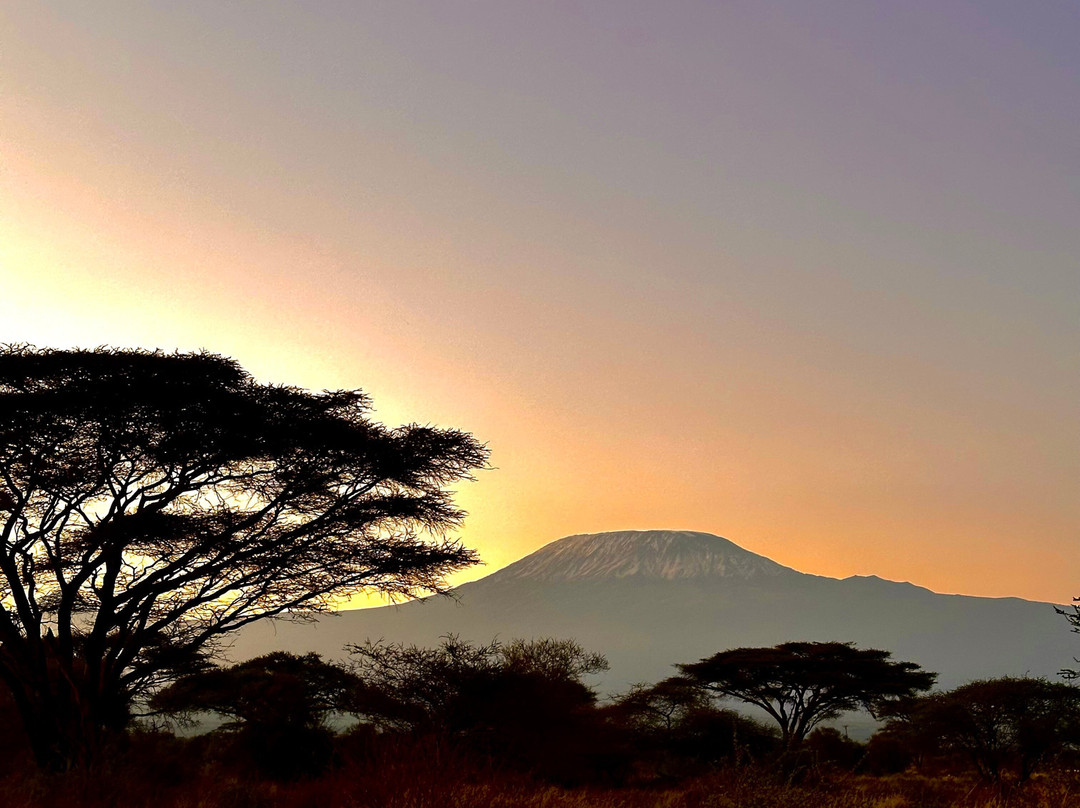 Totti Kenya-安博塞利国家公园必去景点