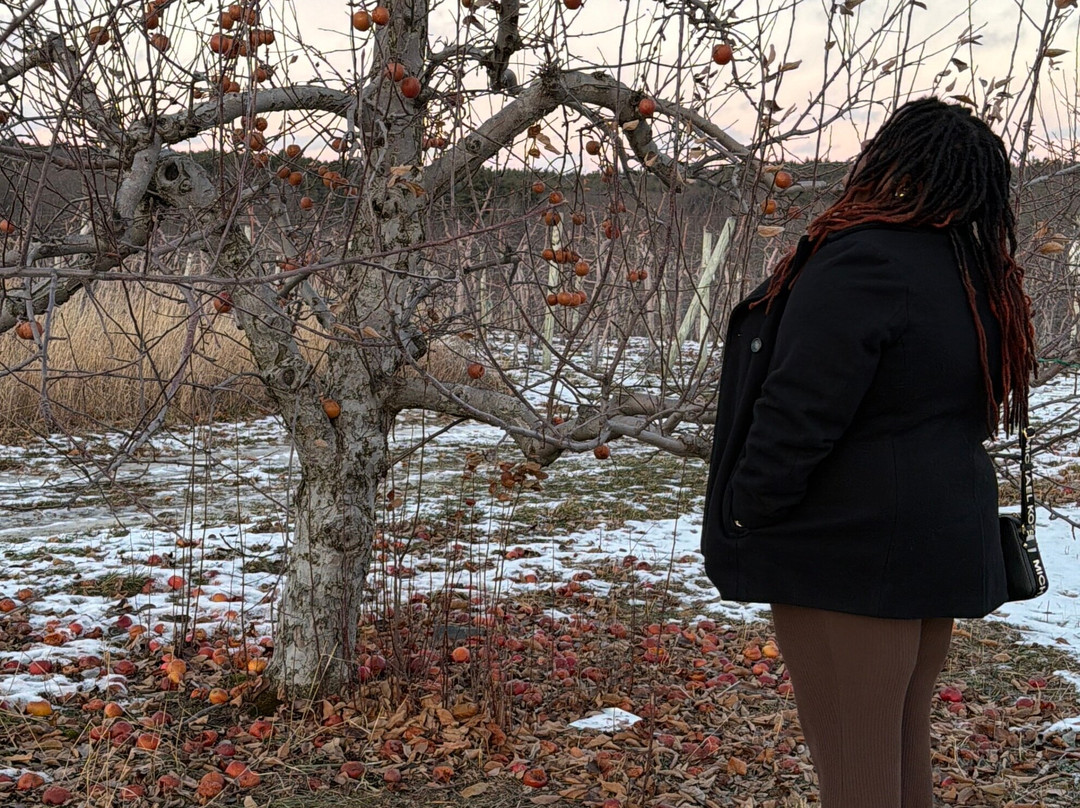 Nashoba Valley Winery-Bolton必去景点