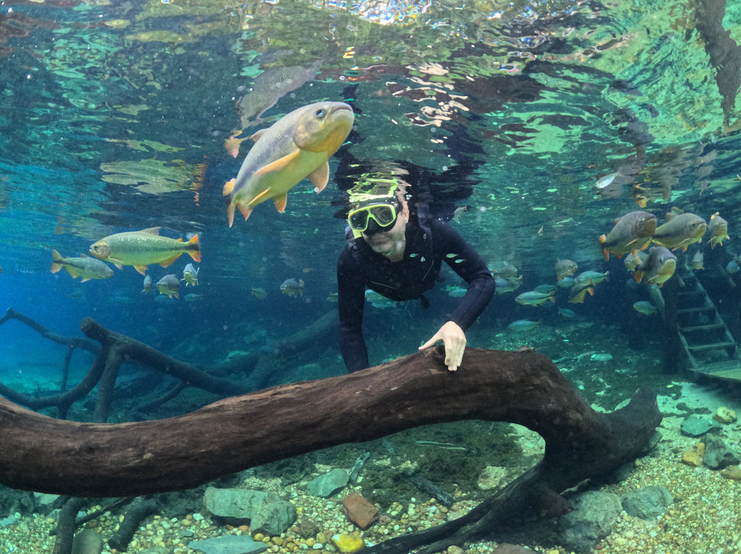 Recanto Ecologico Rio da Prata-博尼图必去景点