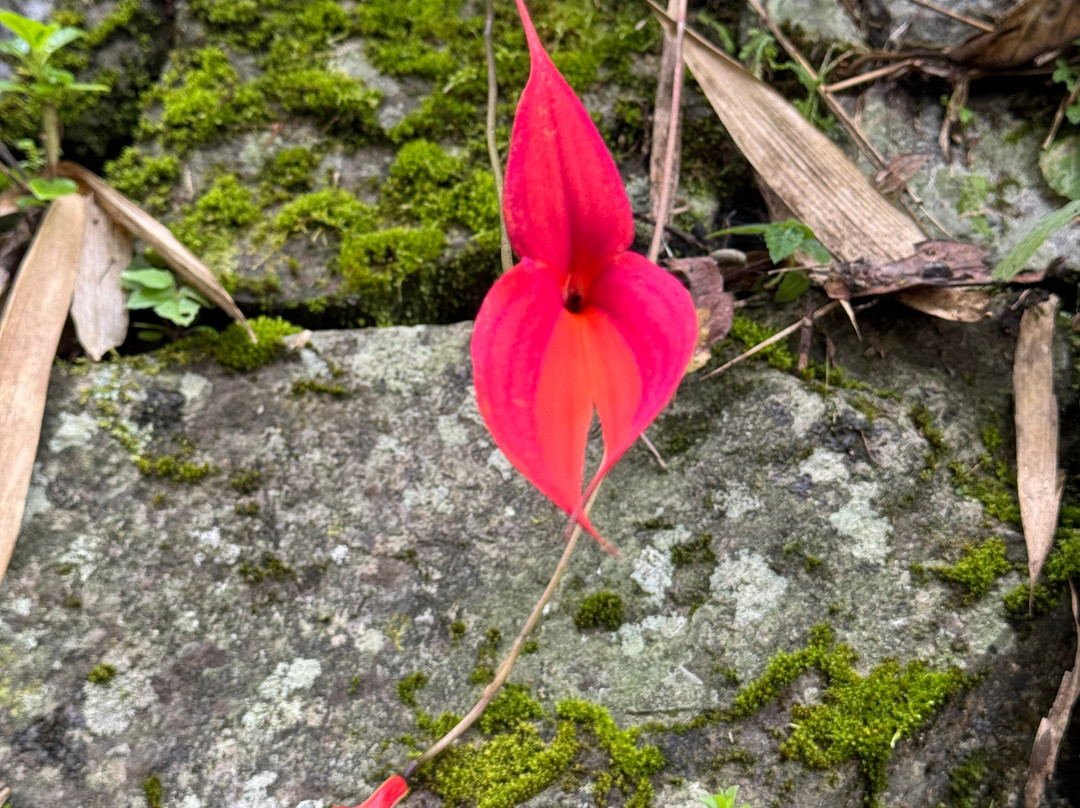 Machupicchu Explorers E.I.R.L-库斯科必去景点