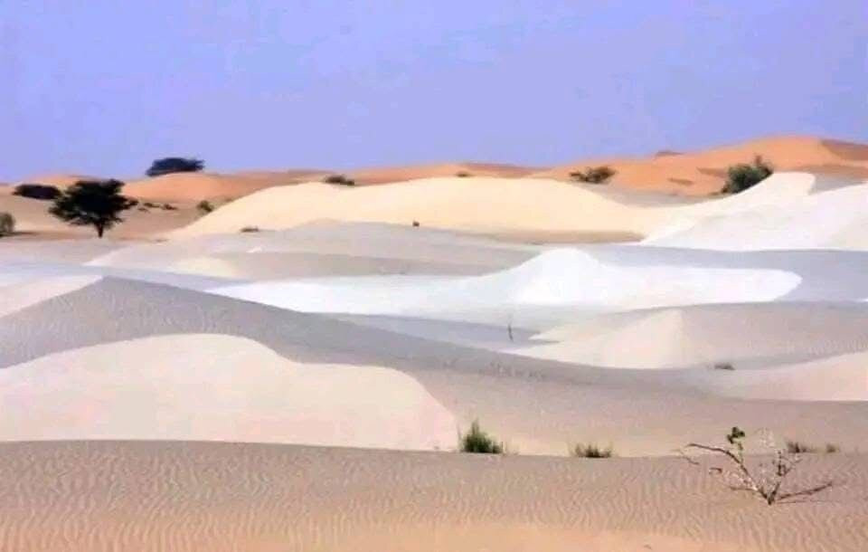 Tar-Tour Mauritanie-Chinguetti必去景点