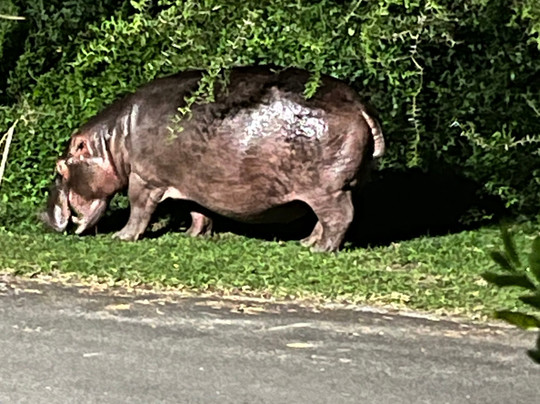 Leopard Corner Lodge主图