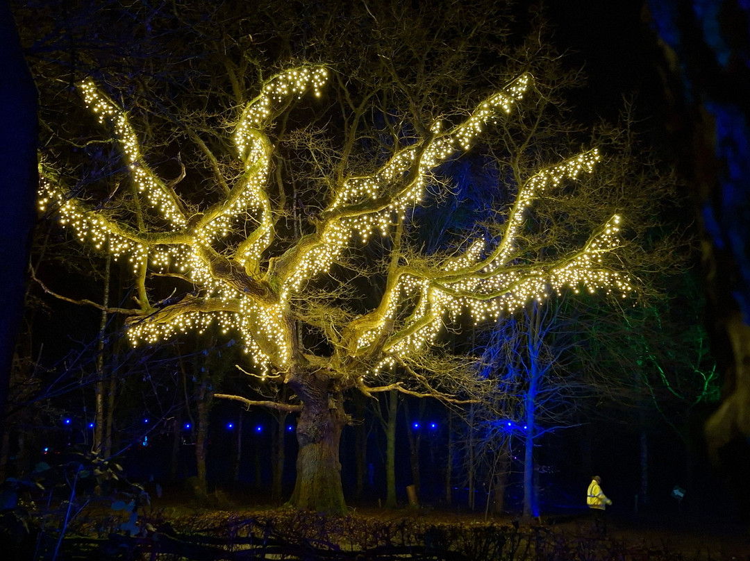Heritage Wood-阿什伯恩必去景点