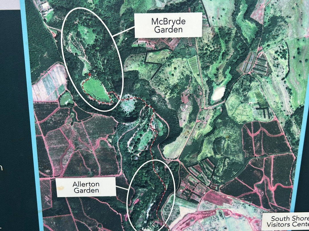 麦克布莱德花园-坡伊普必去景点