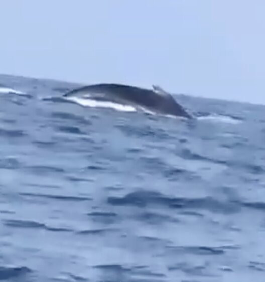 Alagua-Organos必去景点